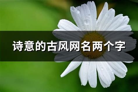 兩字網名|两个字的古风诗意网名【精选100个】